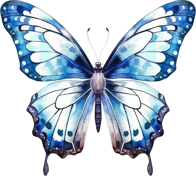 blue butterfly watercolor